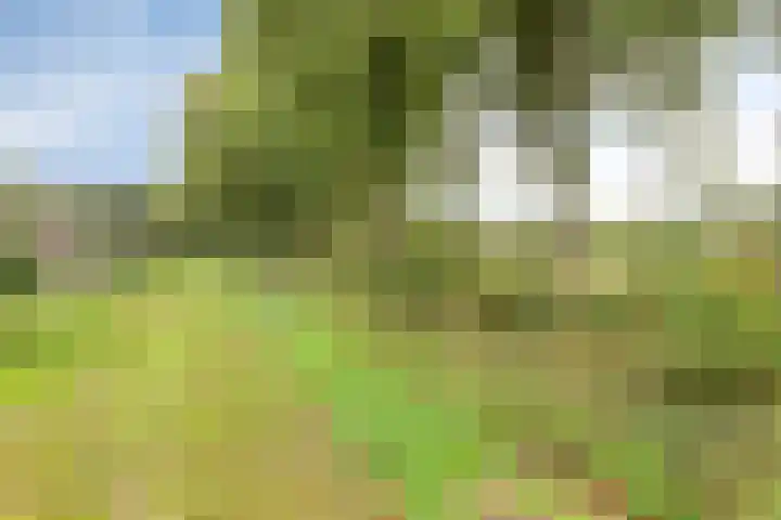 De Gruttenmaat 9 Reutum thumbnail 45