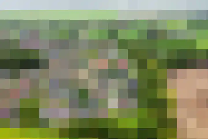 De Gruttenmaat 9 Reutum thumbnail 47