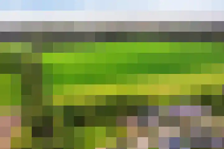 De Gruttenmaat 9 Reutum thumbnail 48