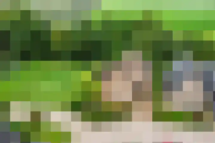 De Gruttenmaat 9 Reutum thumbnail 49