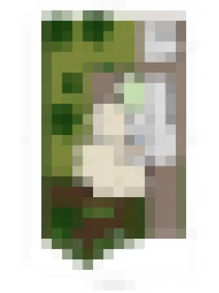 De Gruttenmaat 9 Reutum thumbnail 50