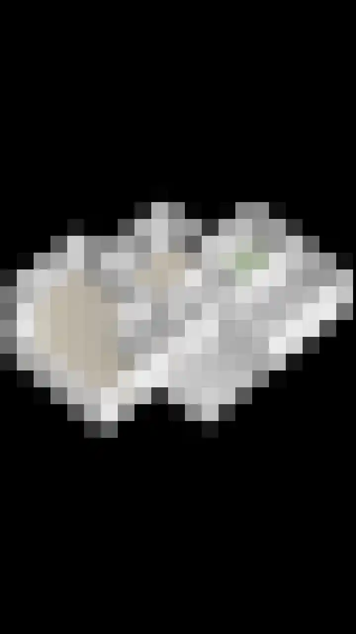 De Gruttenmaat 9 Reutum thumbnail 55