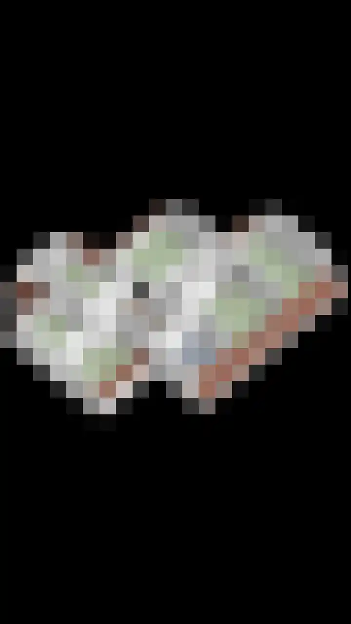 De Gruttenmaat 9 Reutum thumbnail 56
