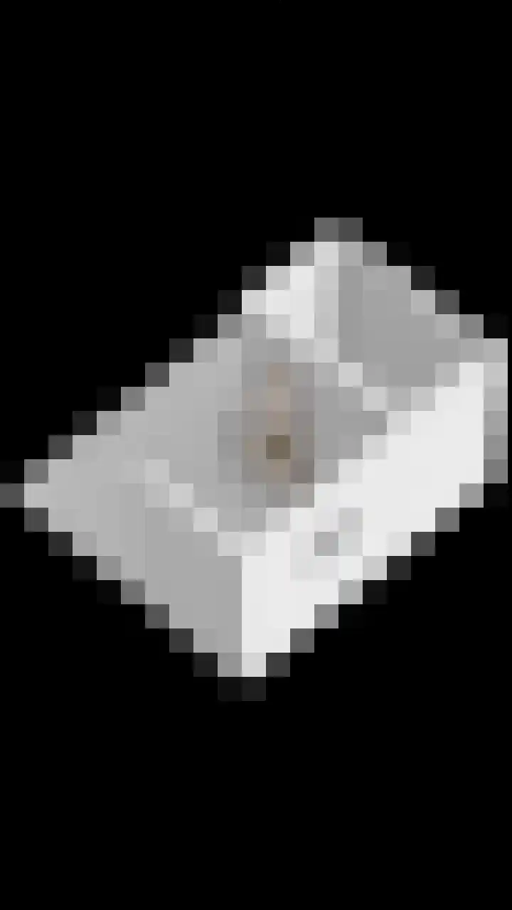 De Gruttenmaat 9 Reutum thumbnail 58