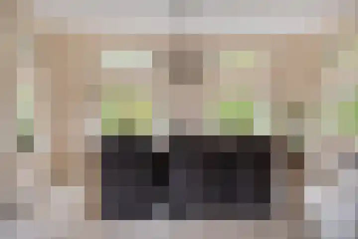 De Gruttenmaat 9 Reutum thumbnail 9