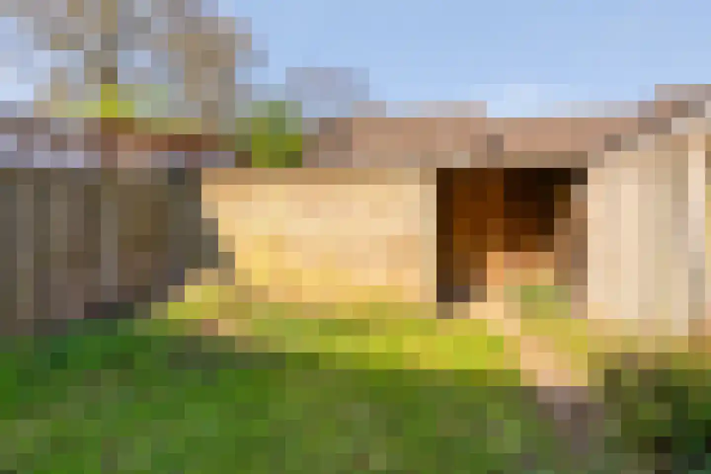 De Grutto 119 Almelo thumbnail 22