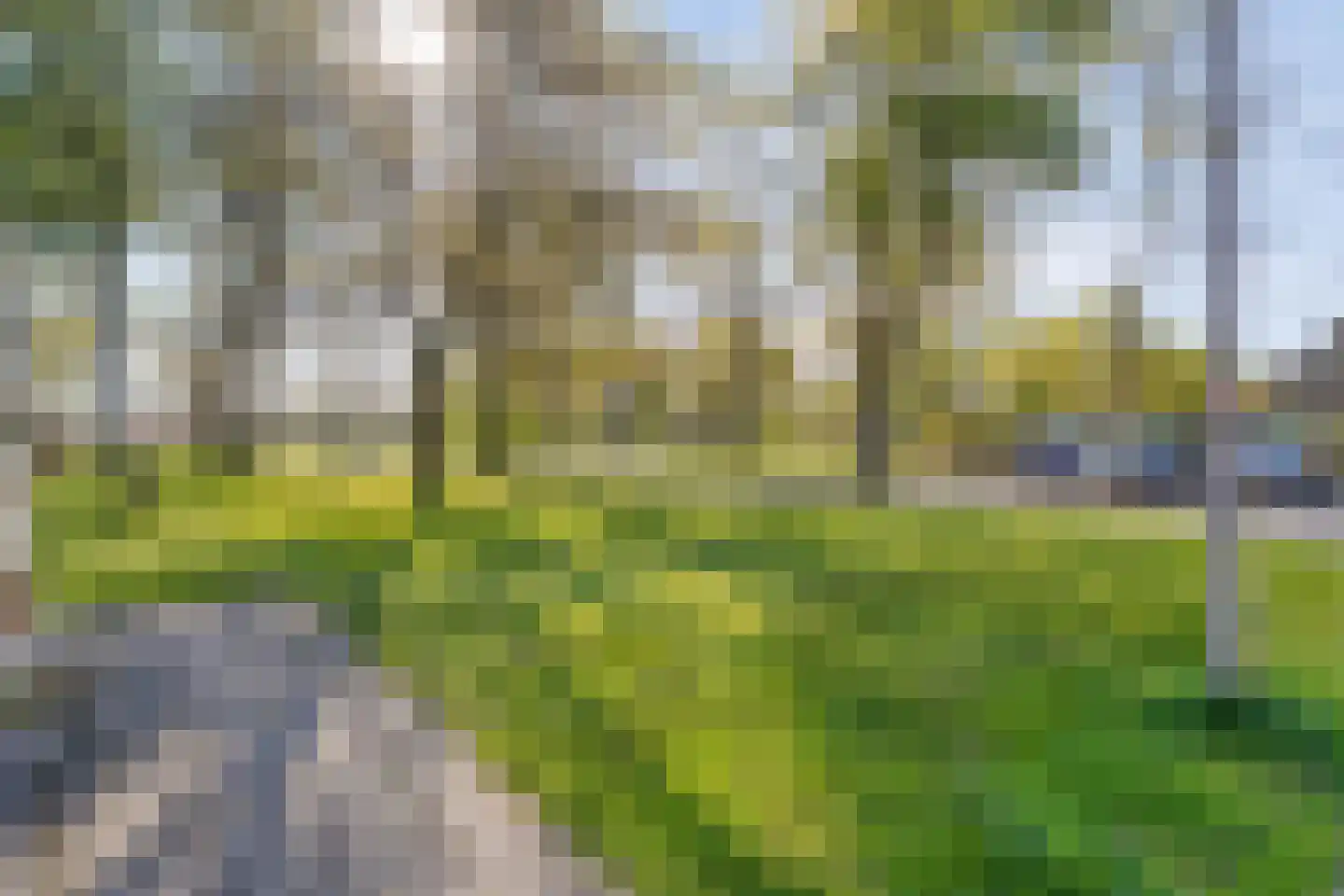 De Grutto 119 Almelo thumbnail 26