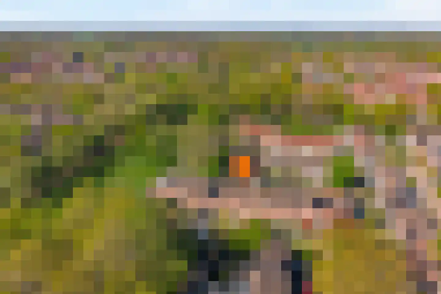 De Grutto 119 Almelo thumbnail 30