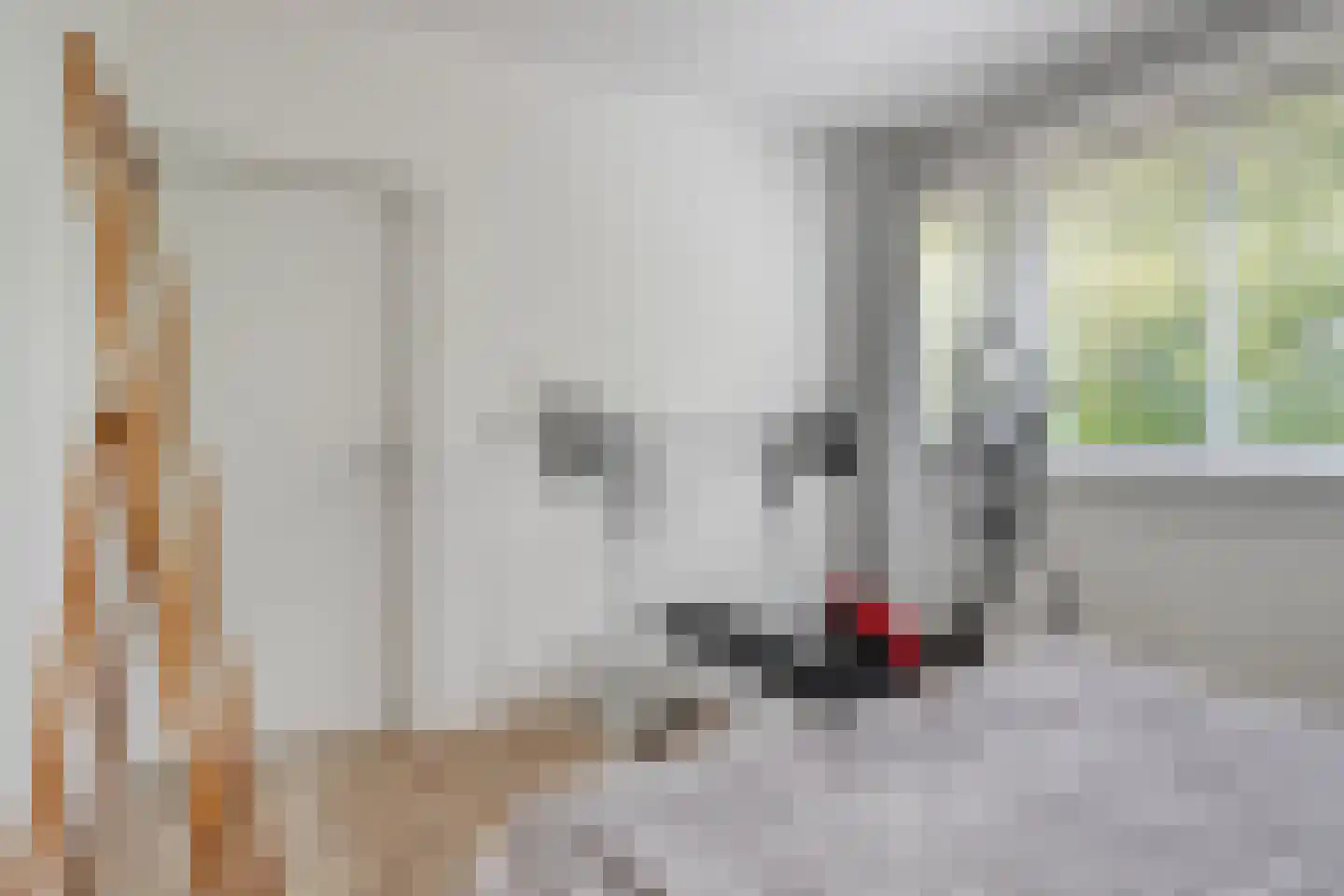 De Grutto 119 Dronten thumbnail 18