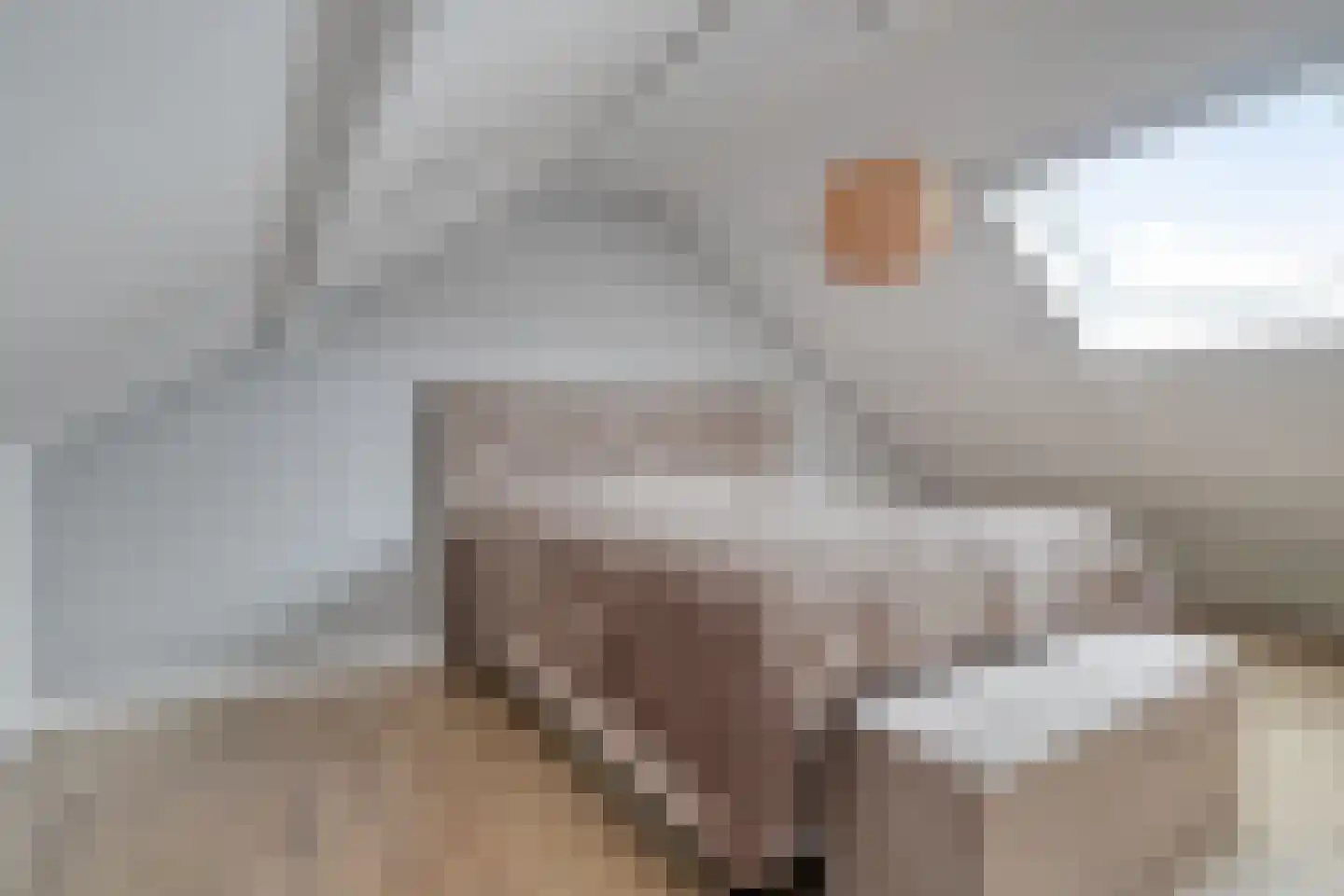 De Grutto 119 Dronten thumbnail 22