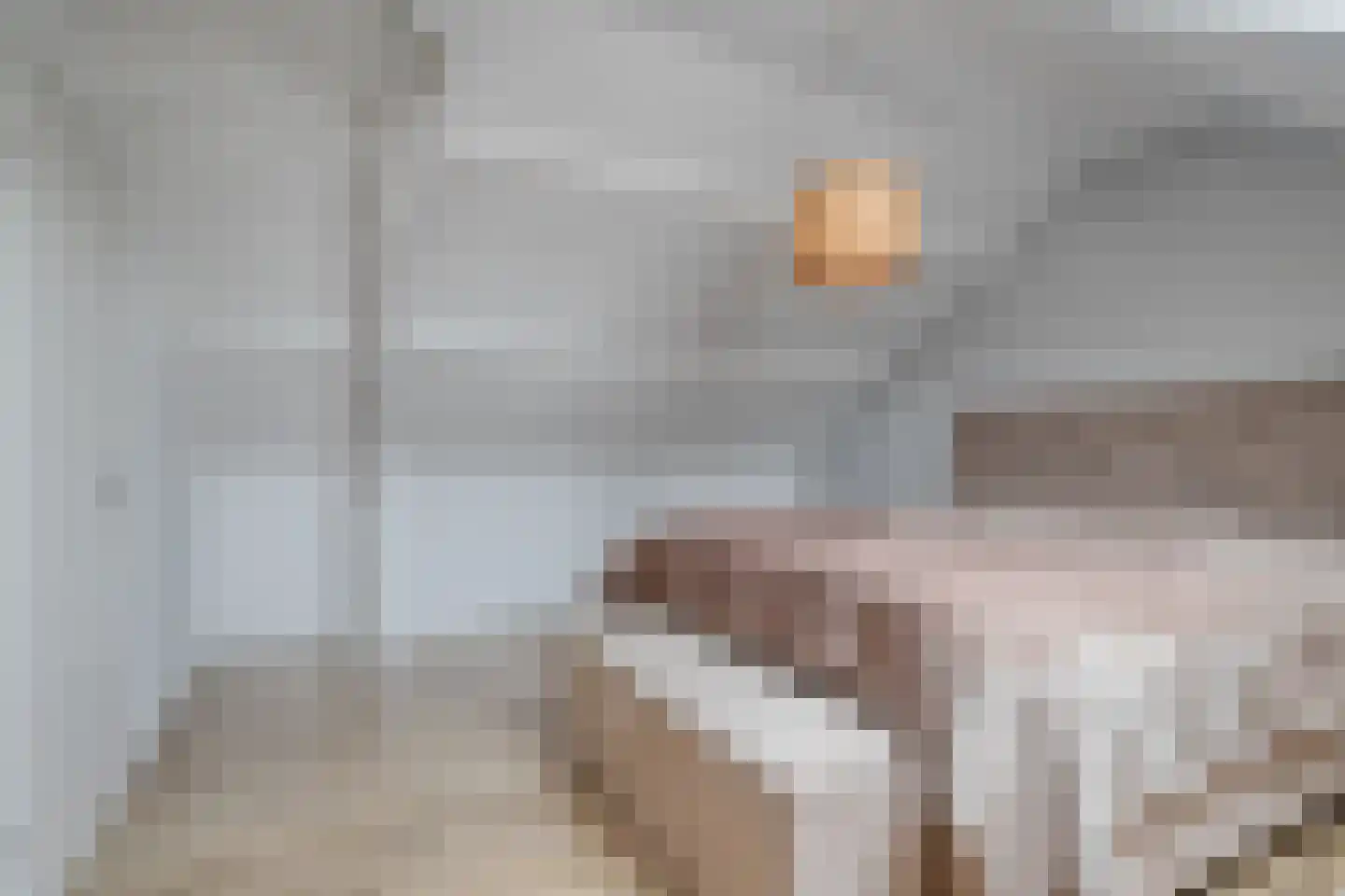 De Grutto 119 Dronten thumbnail 23