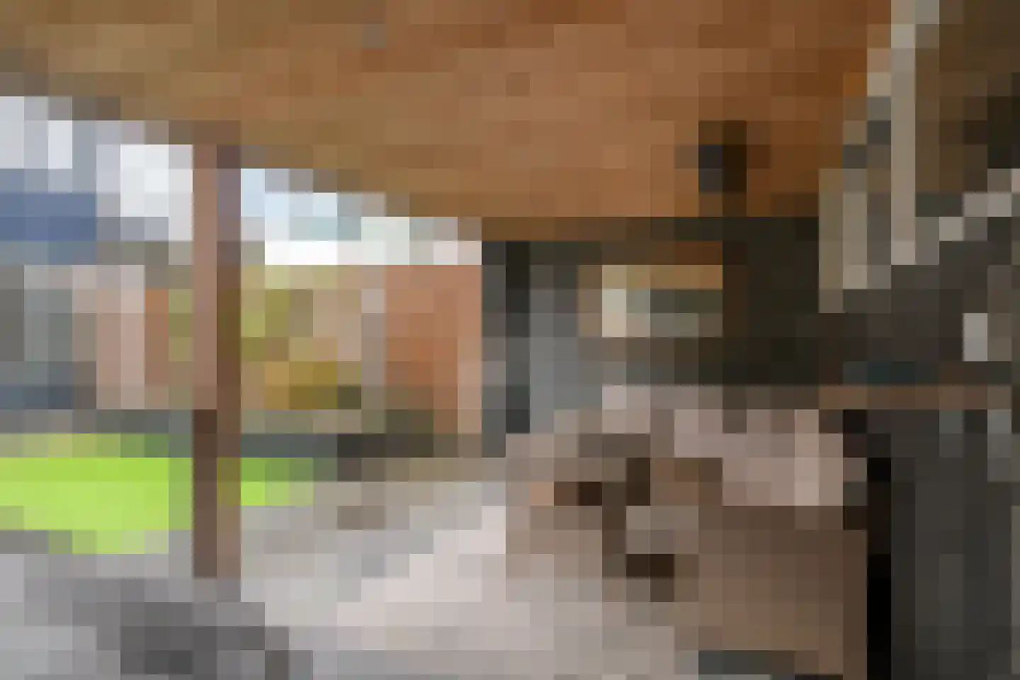 De Grutto 119 Dronten thumbnail 28