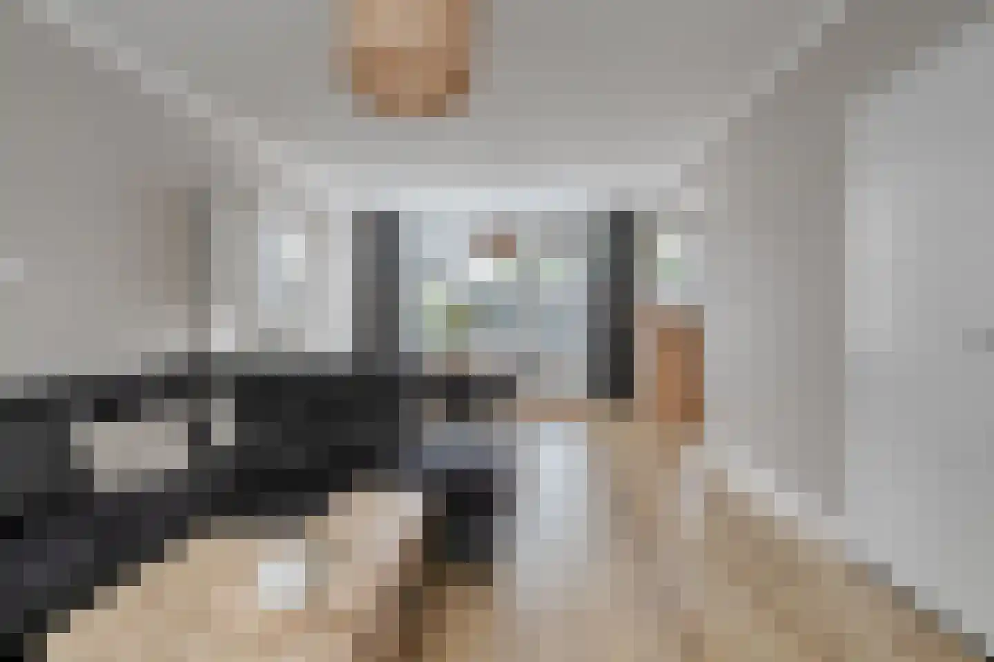 De Grutto 119 Dronten thumbnail 4