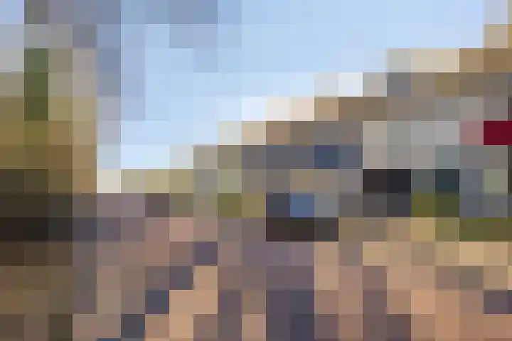 De Grutto 121 Dronten thumbnail 35