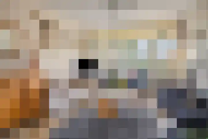 De Grutto 121 Dronten thumbnail 9