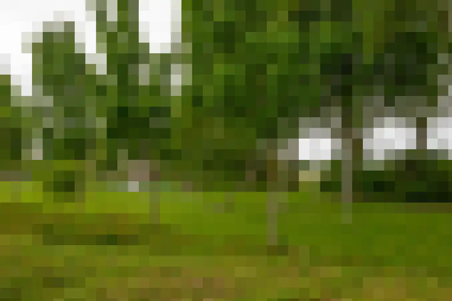 de Grutto 17 Moerkapelle thumbnail 33