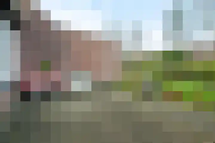 De Grutto 178 Driebergen-Rijsenburg thumbnail 16