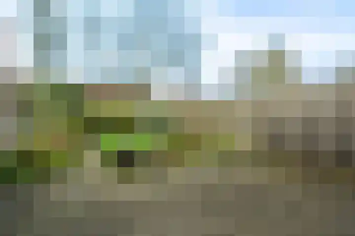 De Grutto 178 Driebergen-Rijsenburg thumbnail 17
