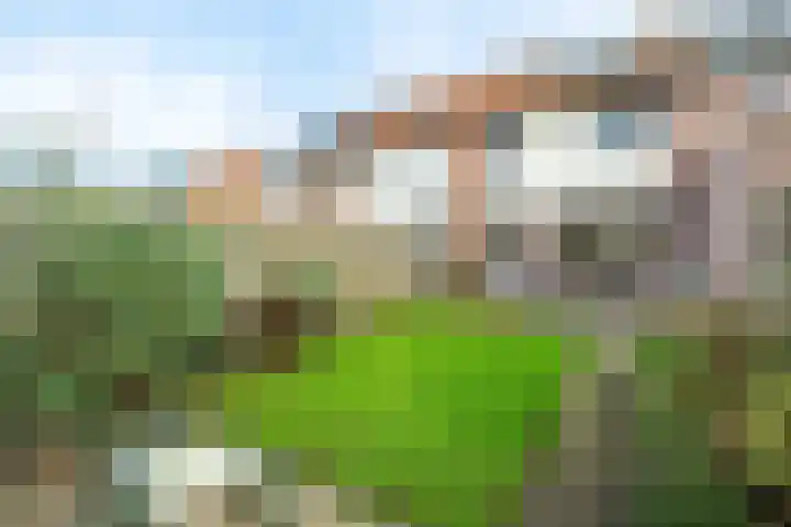 De Grutto 178 Driebergen-Rijsenburg thumbnail 18