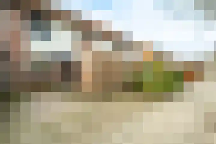 De Grutto 178 Driebergen-Rijsenburg thumbnail 20