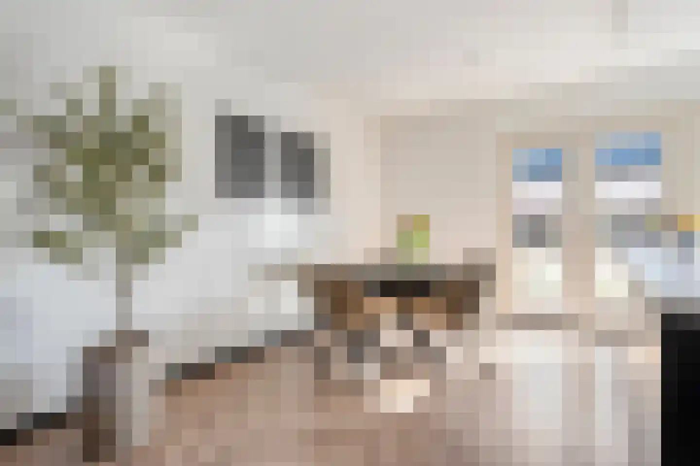 De Grutto 24 Almelo thumbnail 12