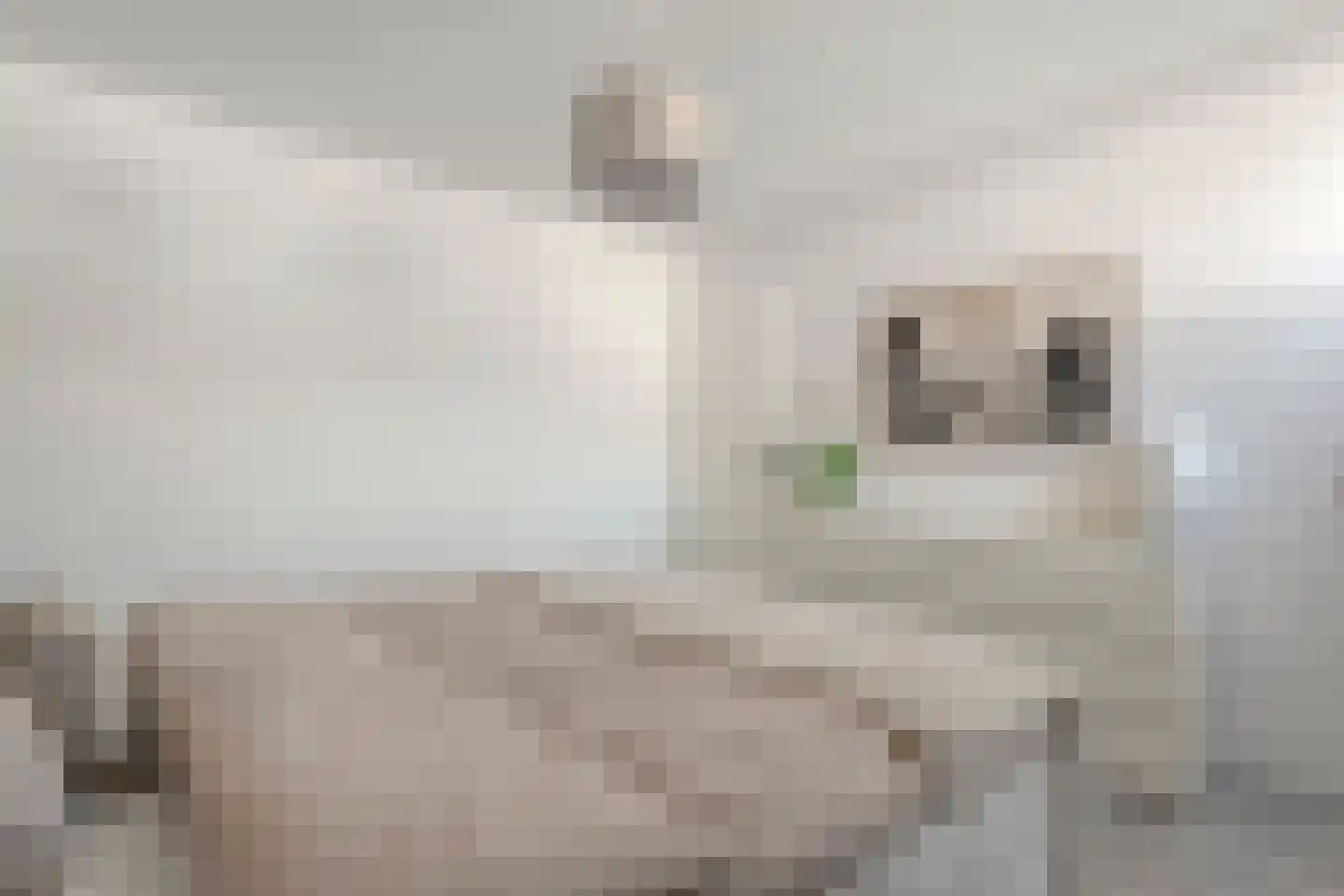 De Grutto 24 Almelo thumbnail 20