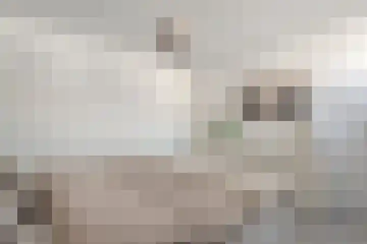 De Grutto 24 Almelo thumbnail 20