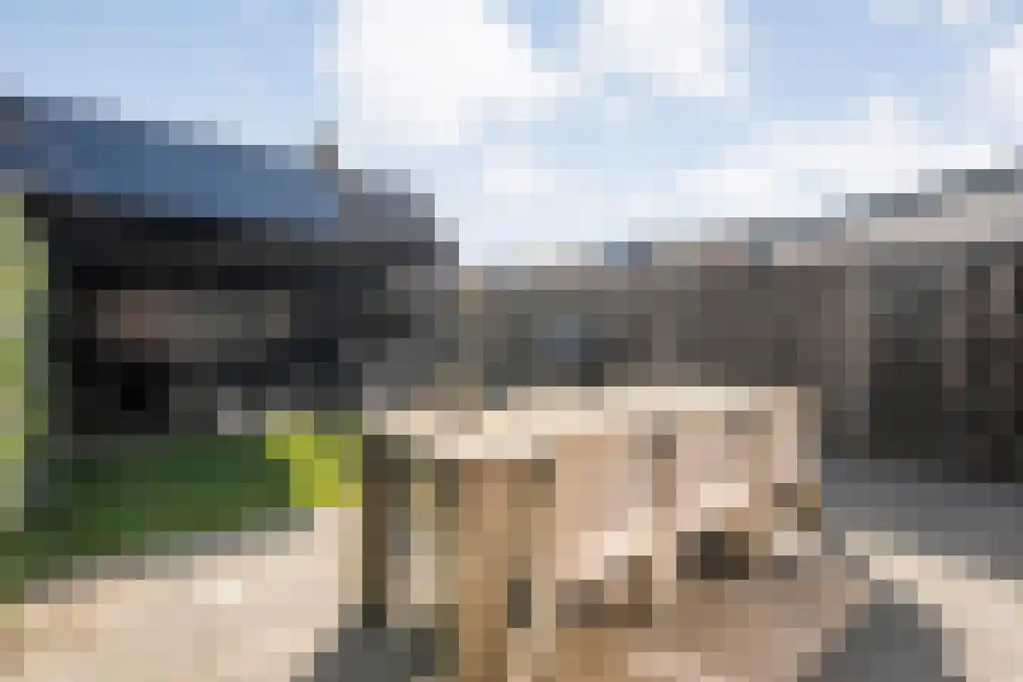 De Grutto 24 Almelo thumbnail 32