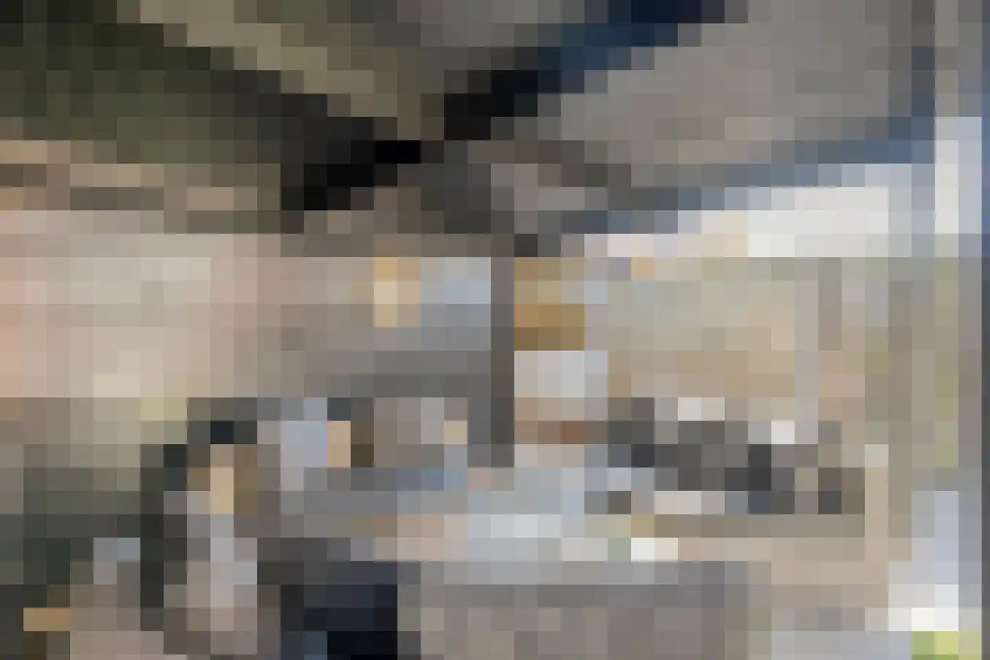 De Grutto 24 Almelo thumbnail 35