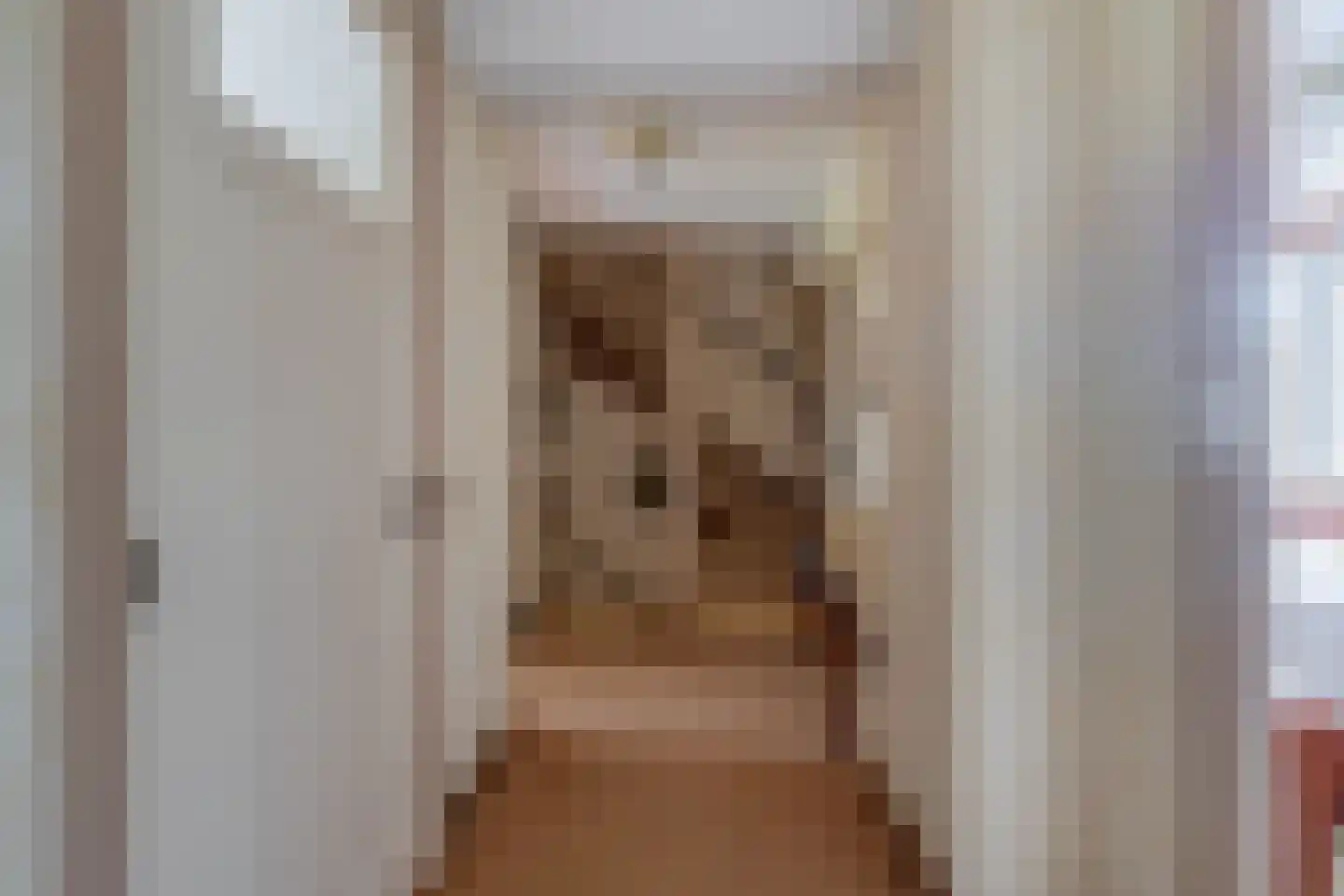de Grutto 25 Moerkapelle thumbnail 15