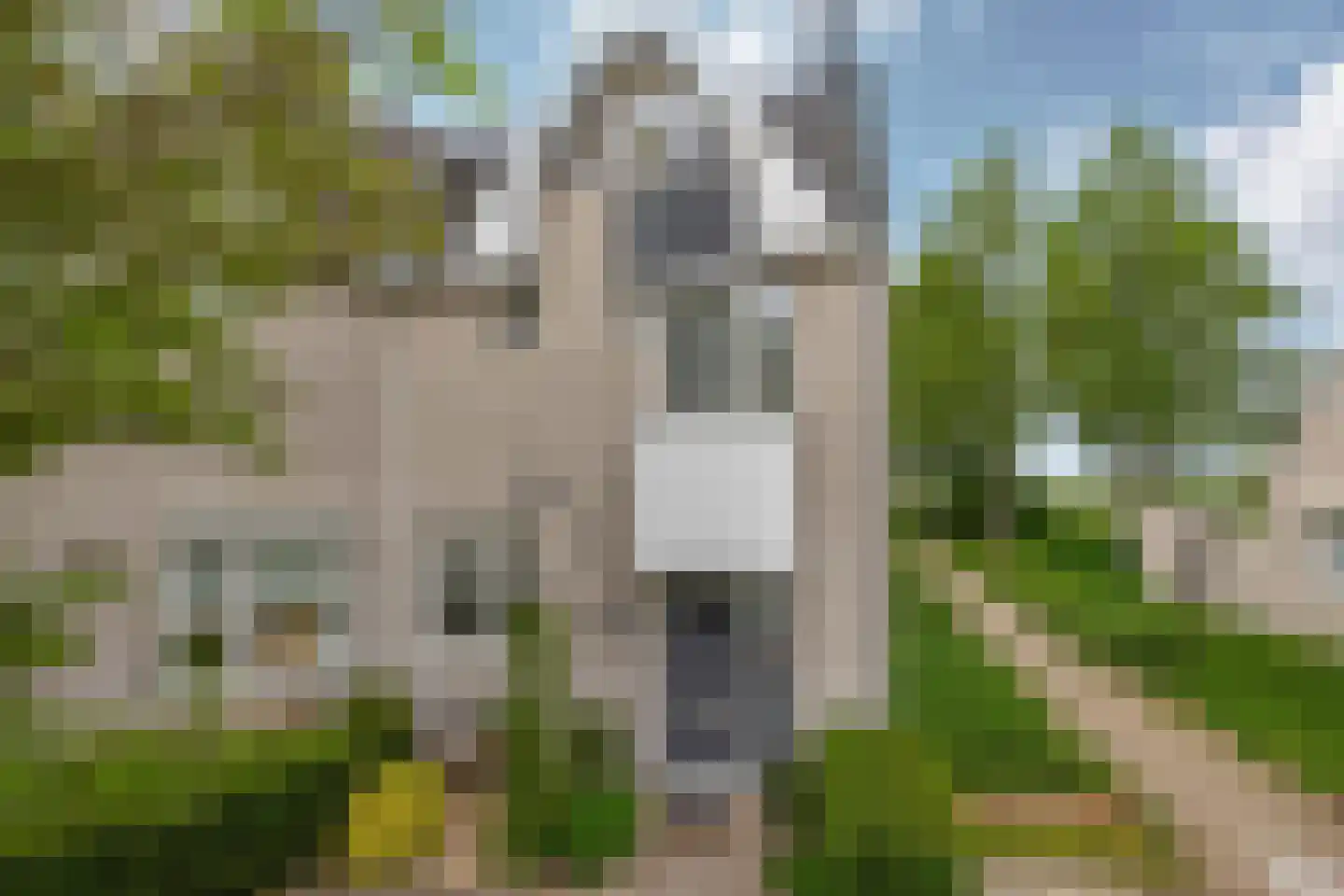 de Grutto 25 Moerkapelle thumbnail 30