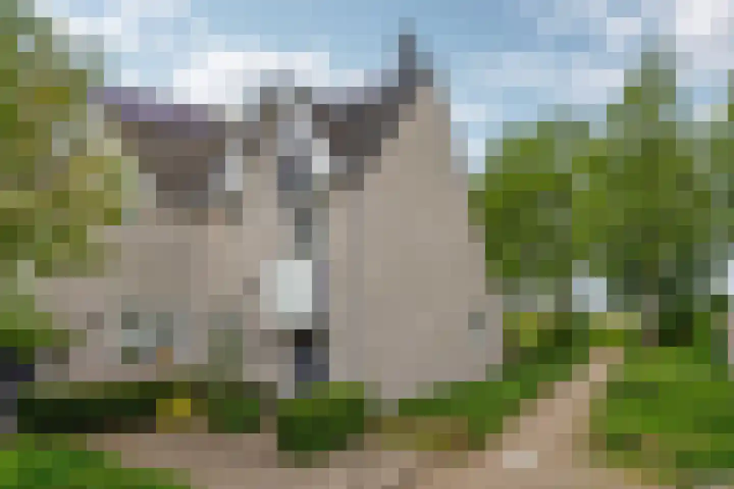de Grutto 25 Moerkapelle thumbnail 31