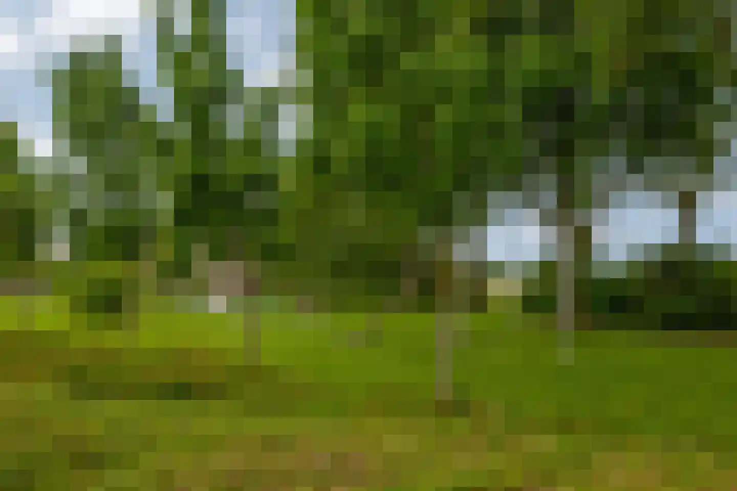 de Grutto 25 Moerkapelle thumbnail 32