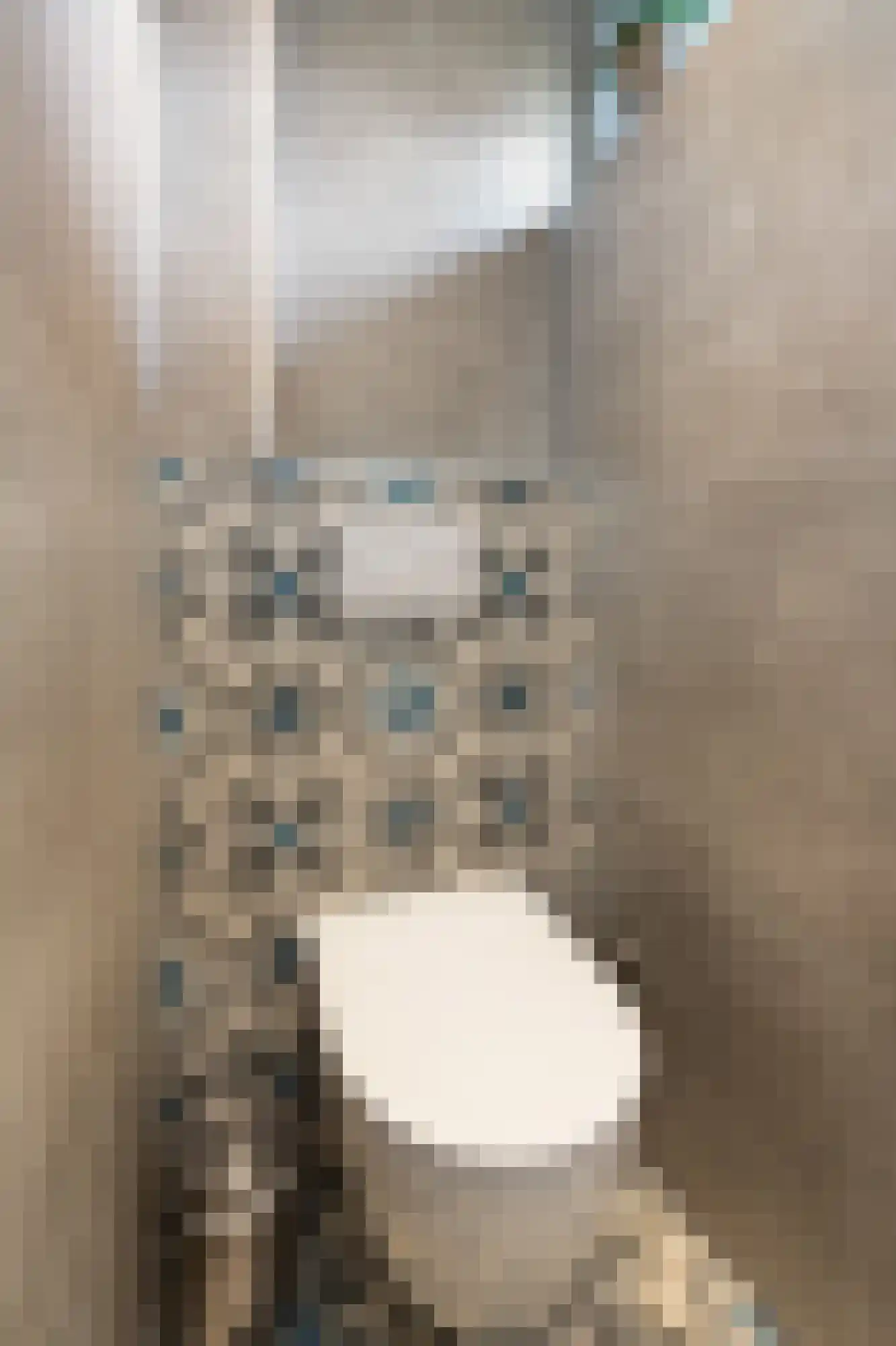De Grutto 29 Dronten thumbnail 31