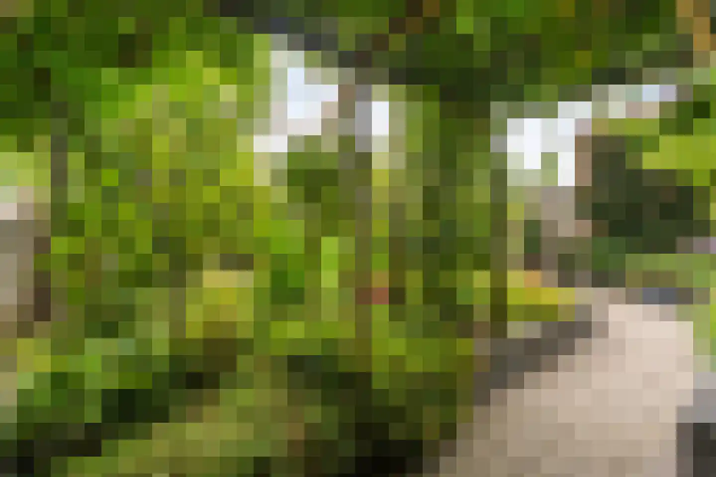 De Grutto 29 Dronten thumbnail 46