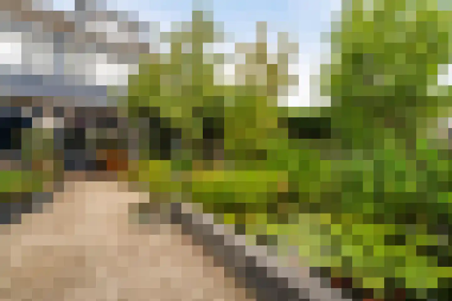De Grutto 29 Dronten thumbnail 47