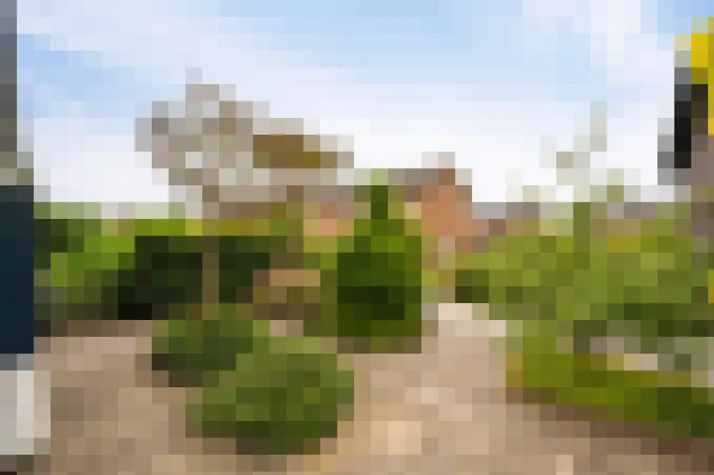De Grutto 29 Dronten thumbnail 59