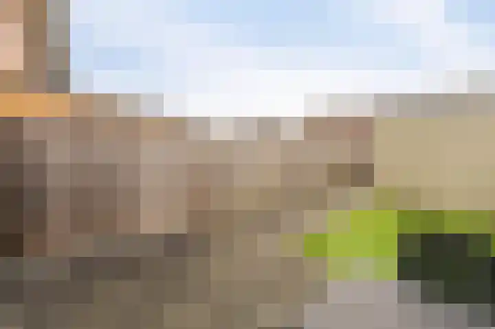 De Grutto 38 Dronten thumbnail 18