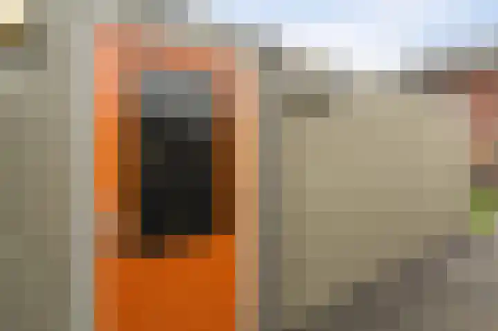 De Grutto 38 Dronten thumbnail 19