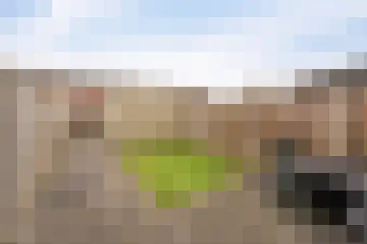 De Grutto 38 Dronten thumbnail 4