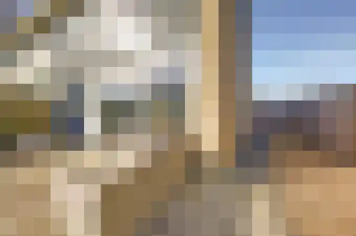 De Grutto 53 Dronten thumbnail 43