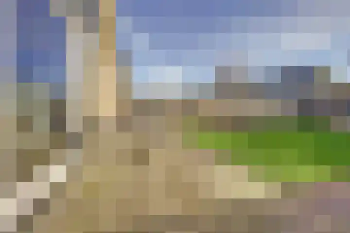 De Grutto 53 Dronten thumbnail 44