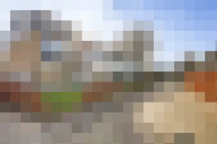 De Grutto 53 Dronten thumbnail 46