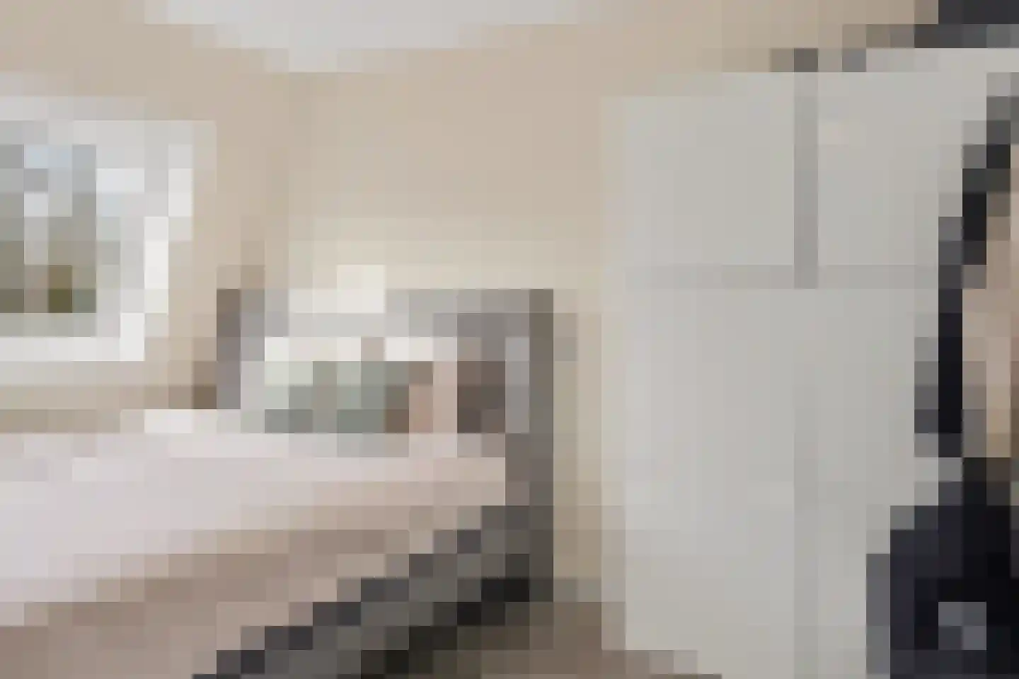 De Grutto 56 Almelo thumbnail 16