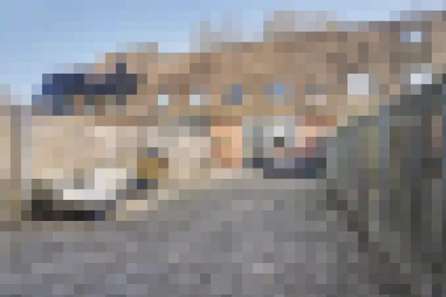 De Grutto 56 Almelo thumbnail 26