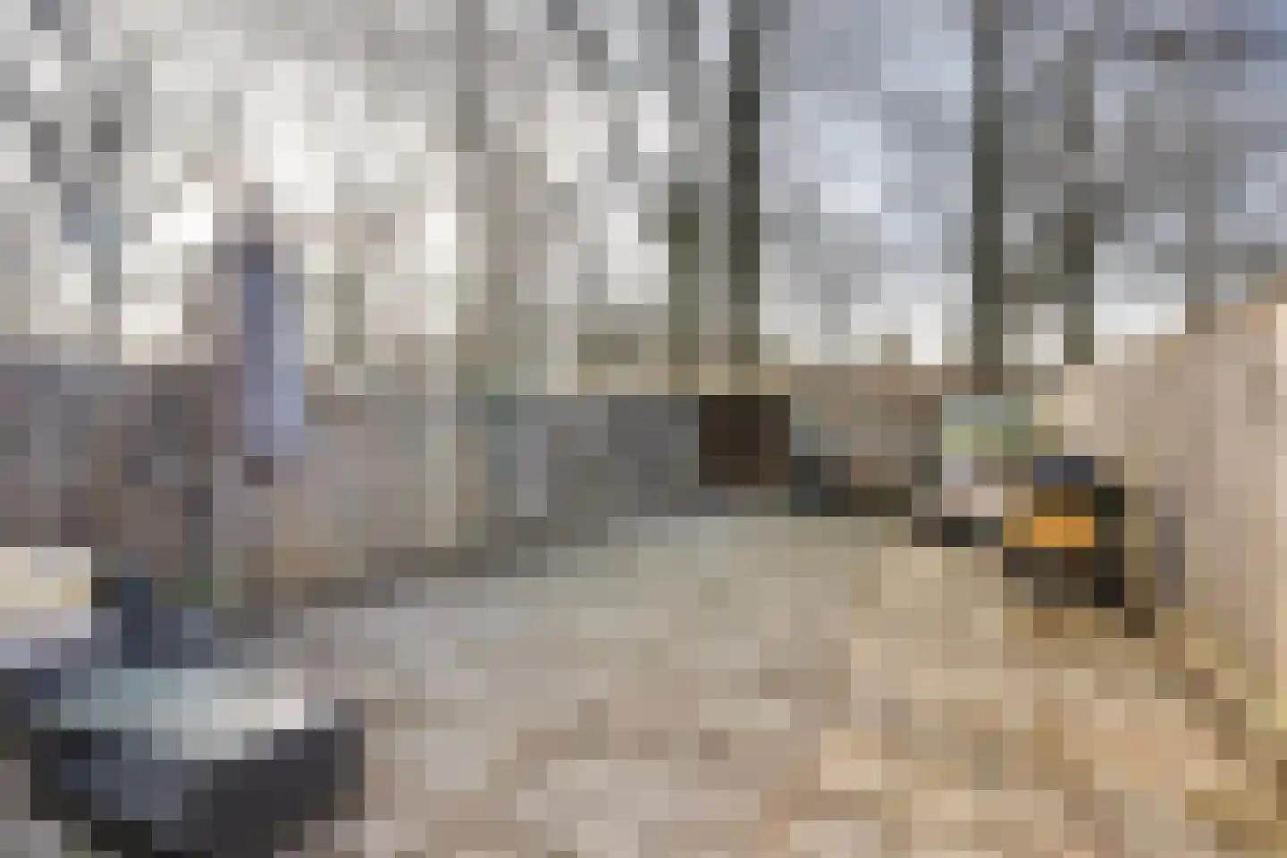 De Grutto 56 Almelo thumbnail 27