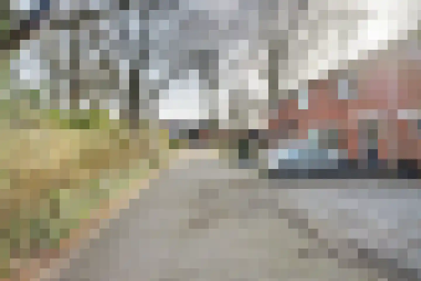 De Grutto 56 Almelo thumbnail 32