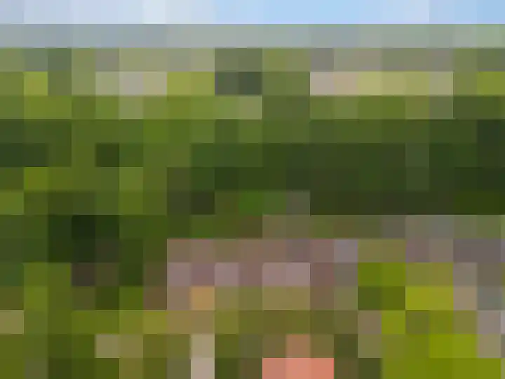 De Grutto 60 Driebergen-Rijsenburg thumbnail 22
