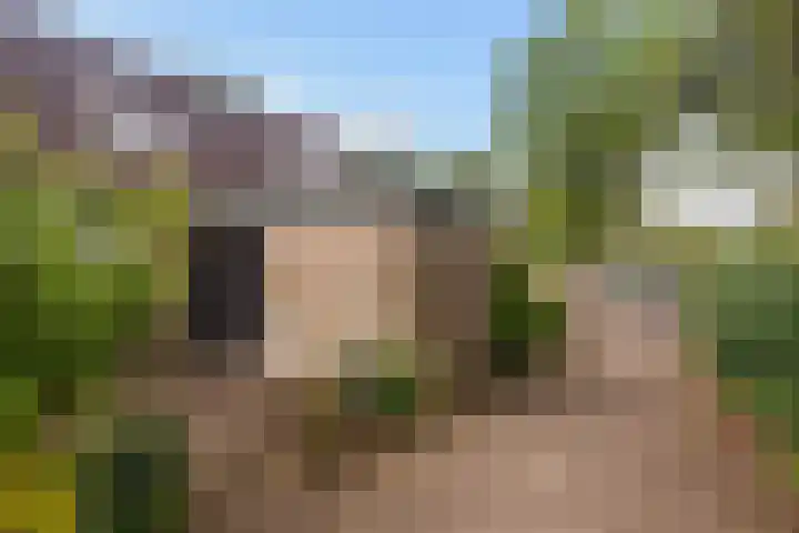 De Grutto 60 Driebergen-Rijsenburg thumbnail 5