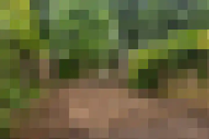 De Grutto 60 Driebergen-Rijsenburg thumbnail 8